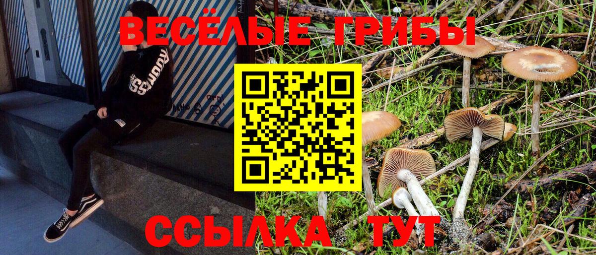Вольск  Псилоцибиновые грибы GOLDEN TEACHER  Вход с VPN 