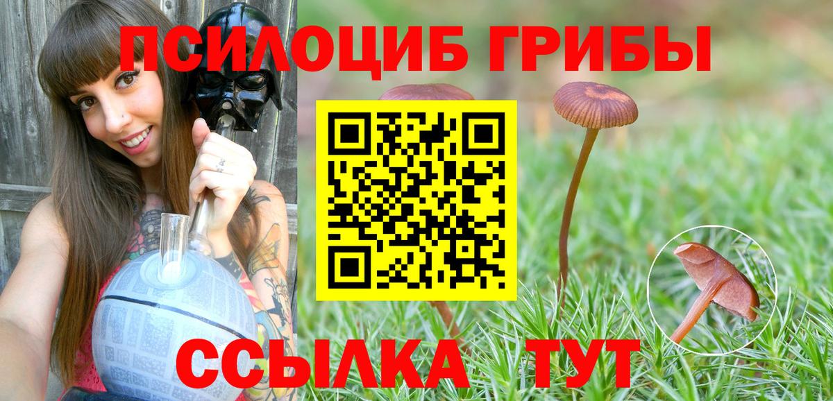Галлюциногенные грибы MAGIC MUSHROOMS Вольск